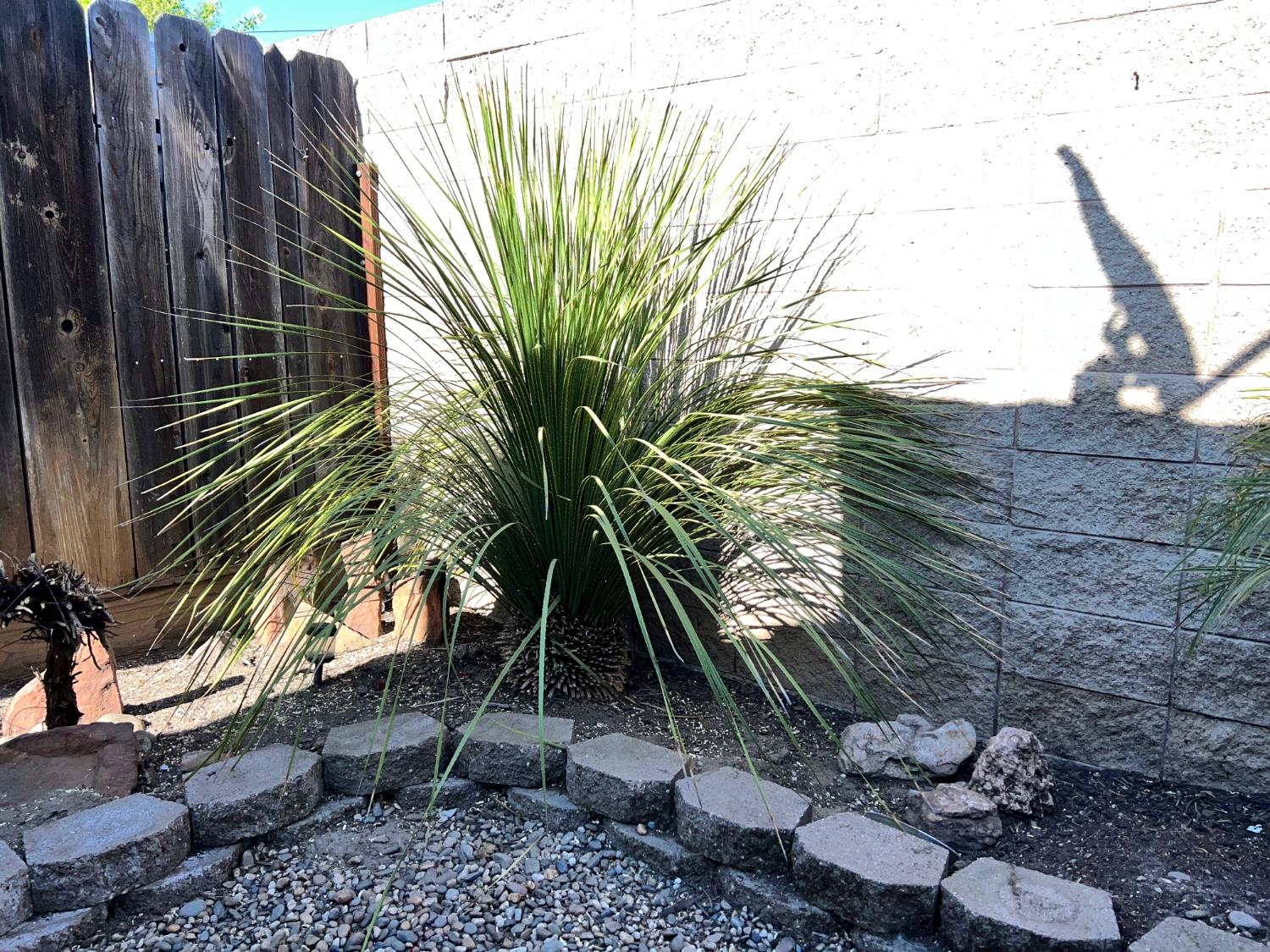 Detail Gallery Image 22 of 32 For 1144 Courtney Way, Modesto,  CA 95358 - 2 Beds | 2 Baths