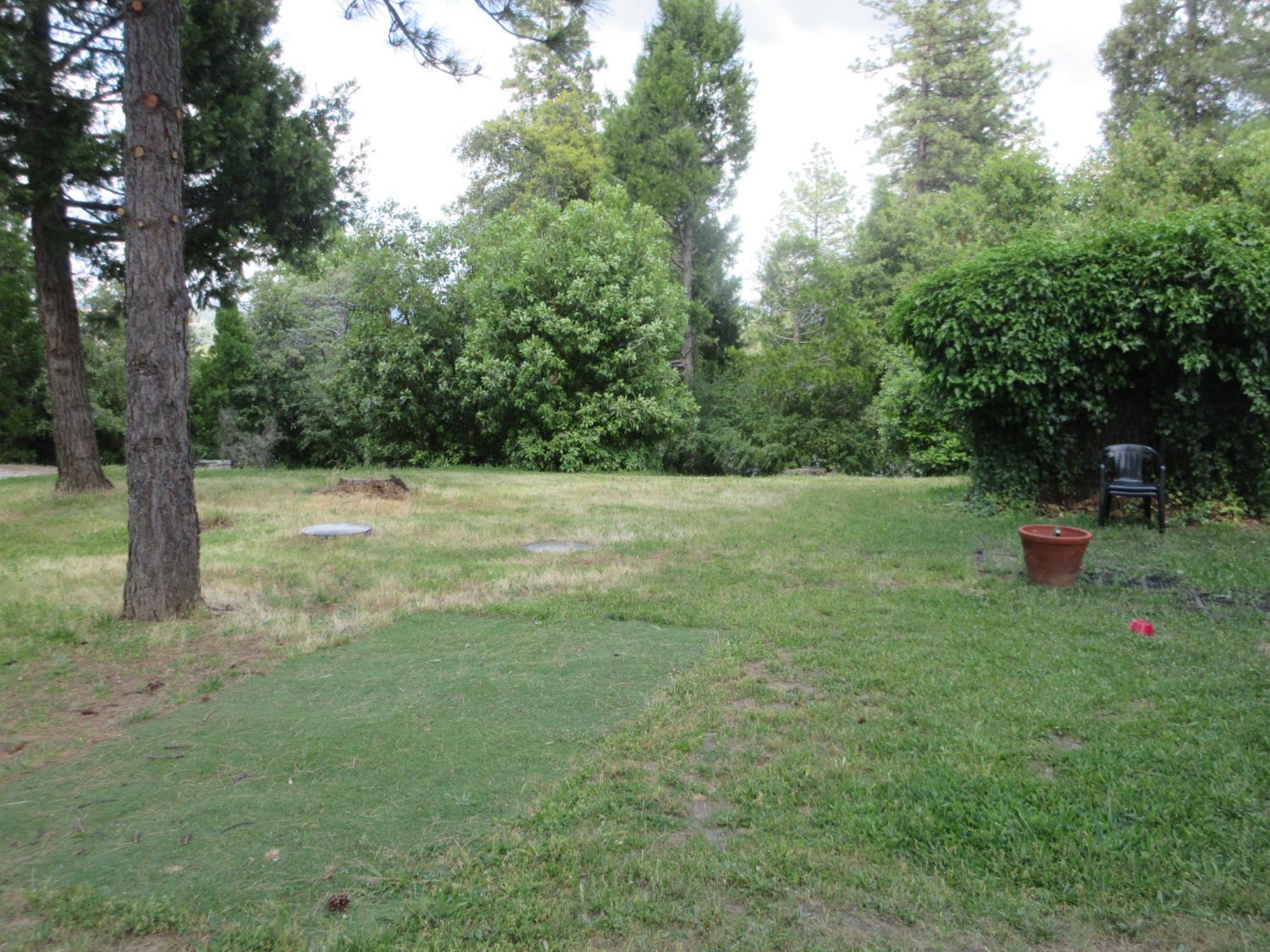 Detail Gallery Image 20 of 51 For 14337 Walnut St, Pine Grove,  CA 95665 - 2 Beds | 2 Baths