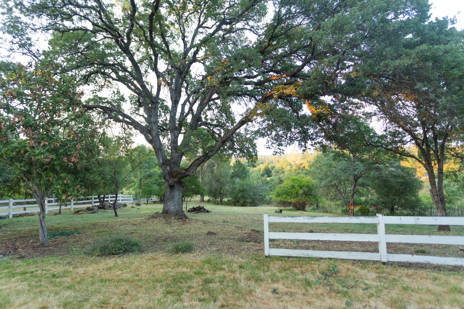 Detail Gallery Image 6 of 49 For 2691 Family Hill Dr, Placerville,  CA 95667 - 3 Beds | 2 Baths