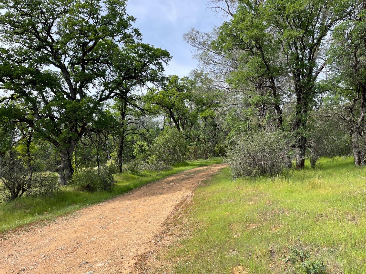 Troost Trail, North San Juan, California image 19