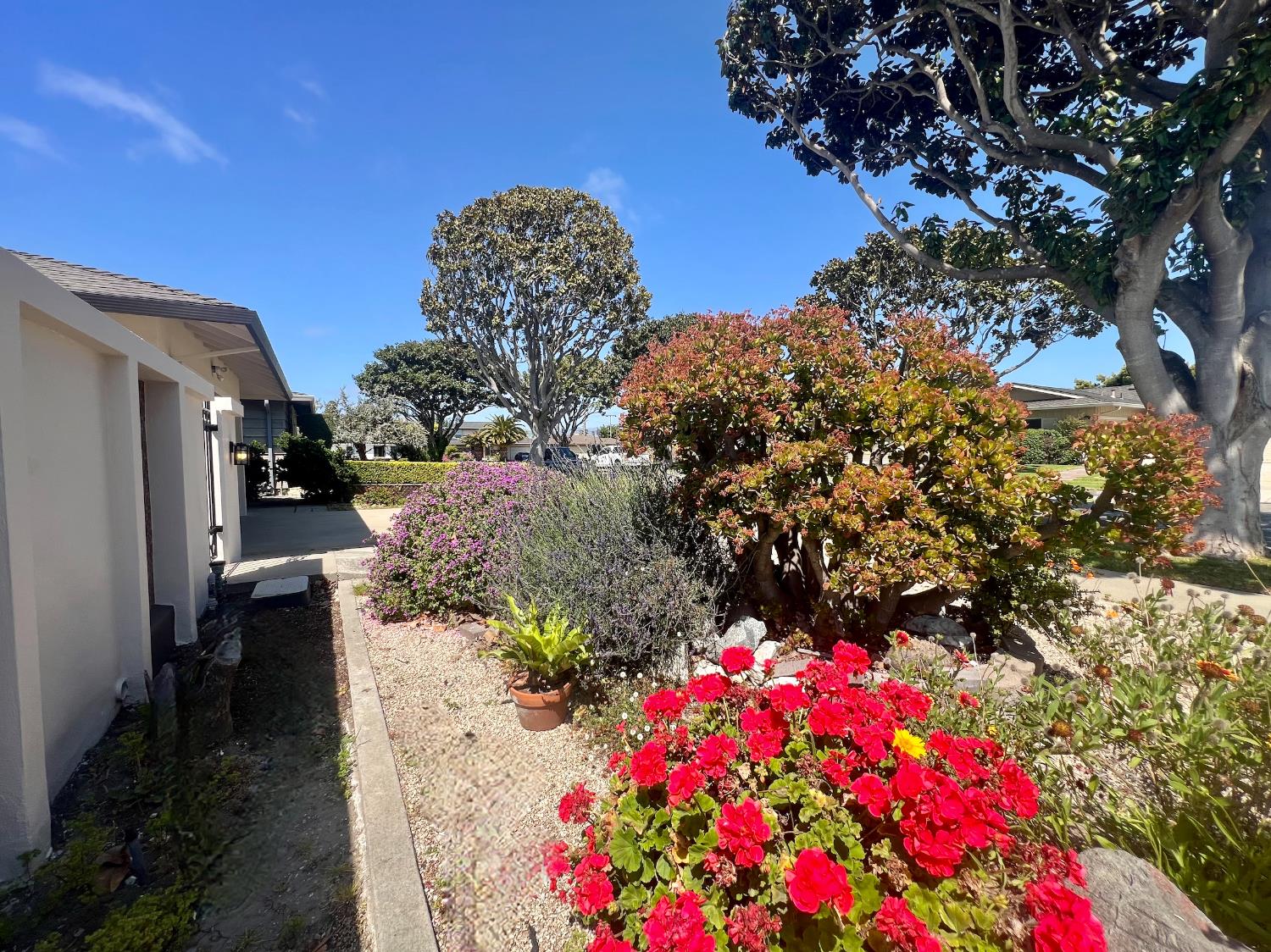 Detail Gallery Image 37 of 41 For 659 San Tomas Way, South Salinas,  CA 93901 - 3 Beds | 2 Baths