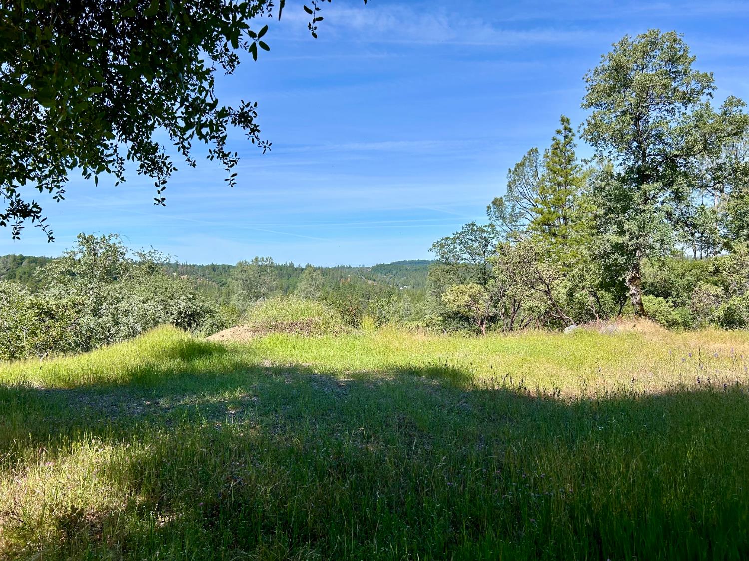 Detail Gallery Image 8 of 25 For 15805 Shannon Way, Nevada City,  CA 95959 - – Beds | – Baths