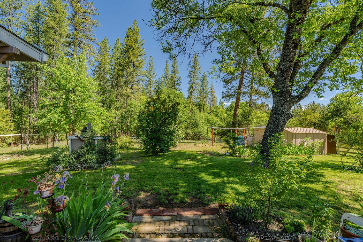 Detail Gallery Image 19 of 40 For 1470 Meredith Lane, Rail Road Flat,  CA 95248 - 2 Beds | 2 Baths