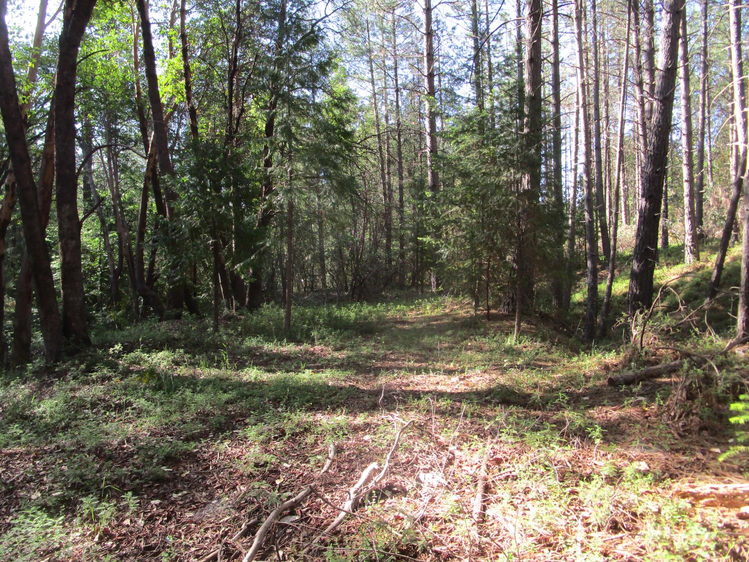 Detail Gallery Image 14 of 23 For 15699 Tyler Foote Rd, Nevada City,  CA 95959 - – Beds | – Baths