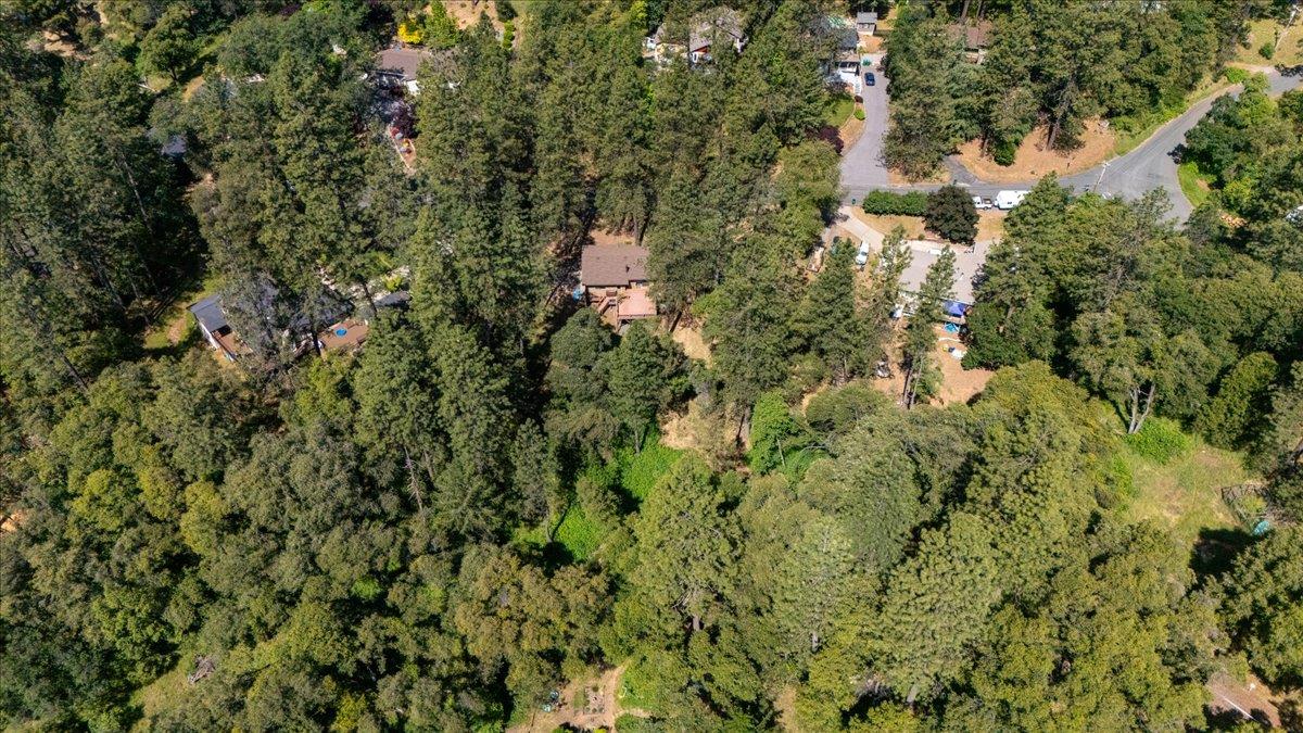 Detail Gallery Image 47 of 50 For 16559 Joey Ct, Grass Valley,  CA 95949 - 3 Beds | 2 Baths