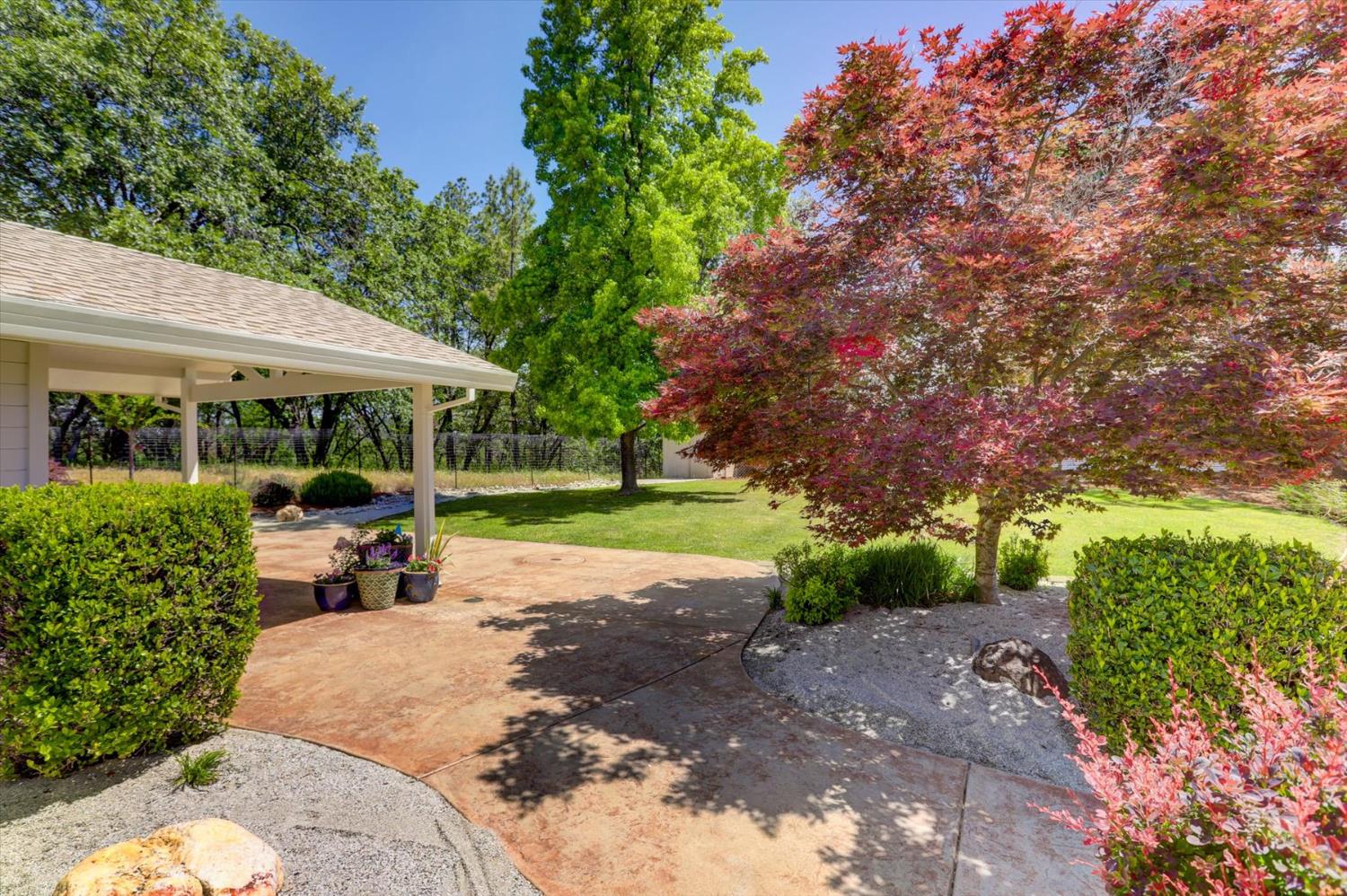 Detail Gallery Image 72 of 88 For 2500 N Lakewood Dr, Meadow Vista,  CA 95722 - 3 Beds | 2/1 Baths