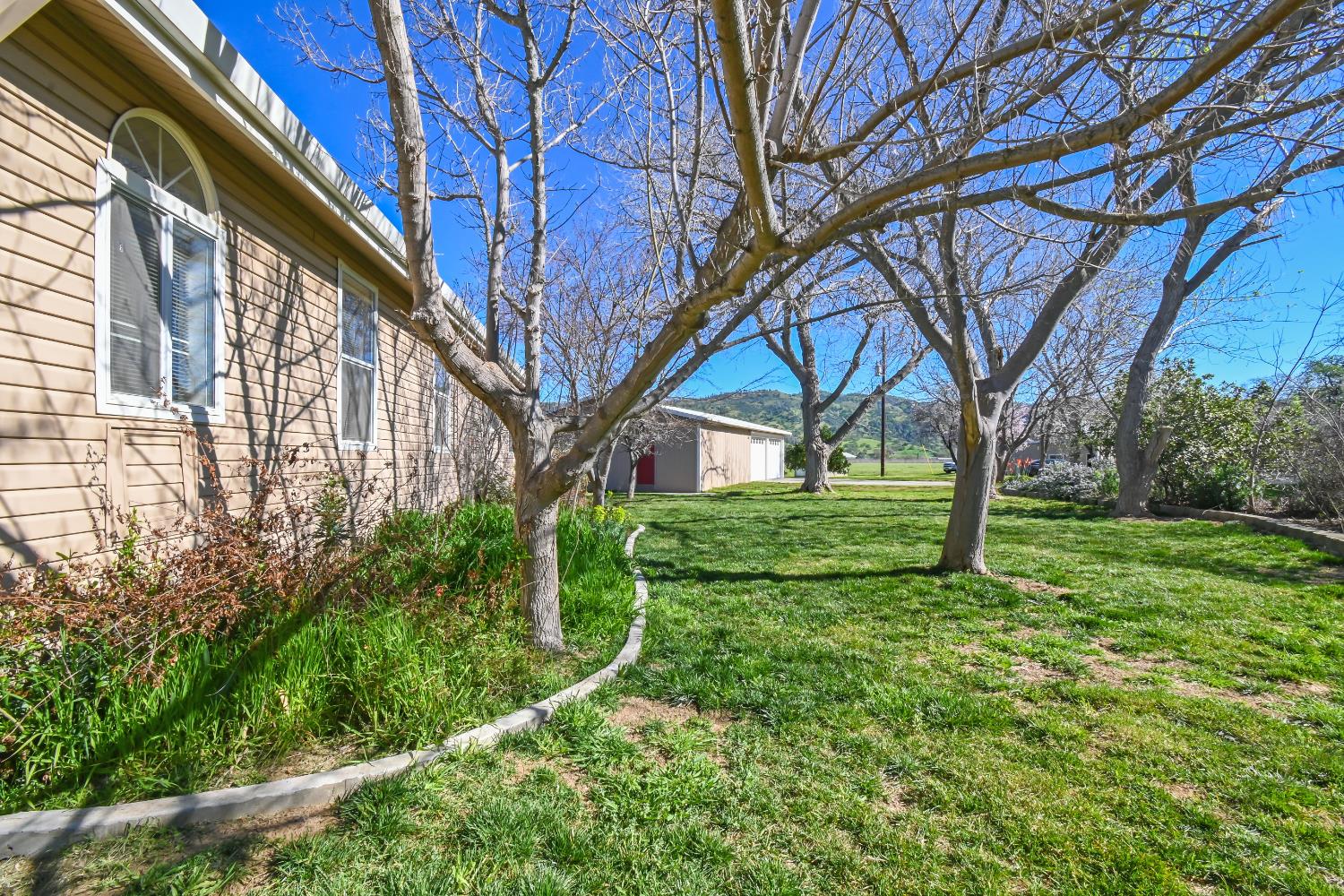 Detail Gallery Image 62 of 75 For 15655 County Road 45, Guinda,  CA 95637 - 3 Beds | 2 Baths