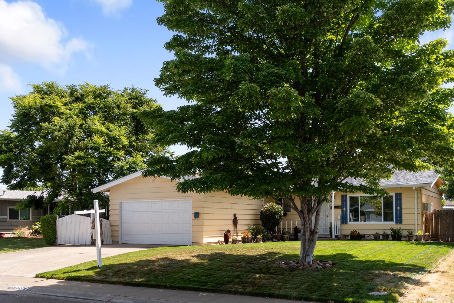 Mark Street, Elk Grove, California image 24
