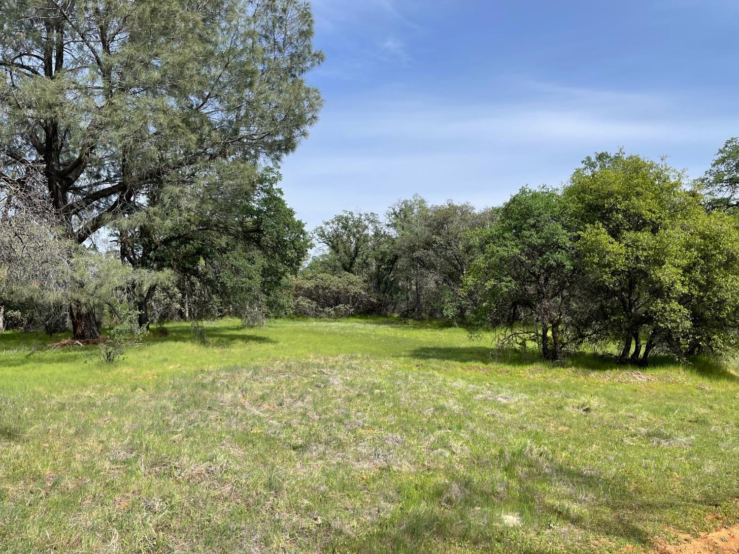 Troost Trail, North San Juan, California image 3