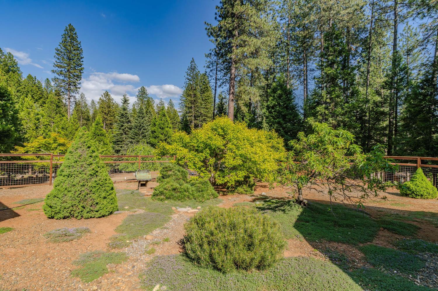Detail Gallery Image 89 of 92 For 25521 Wildflower Dr, Volcano,  CA 95689 - 2 Beds | 2/1 Baths