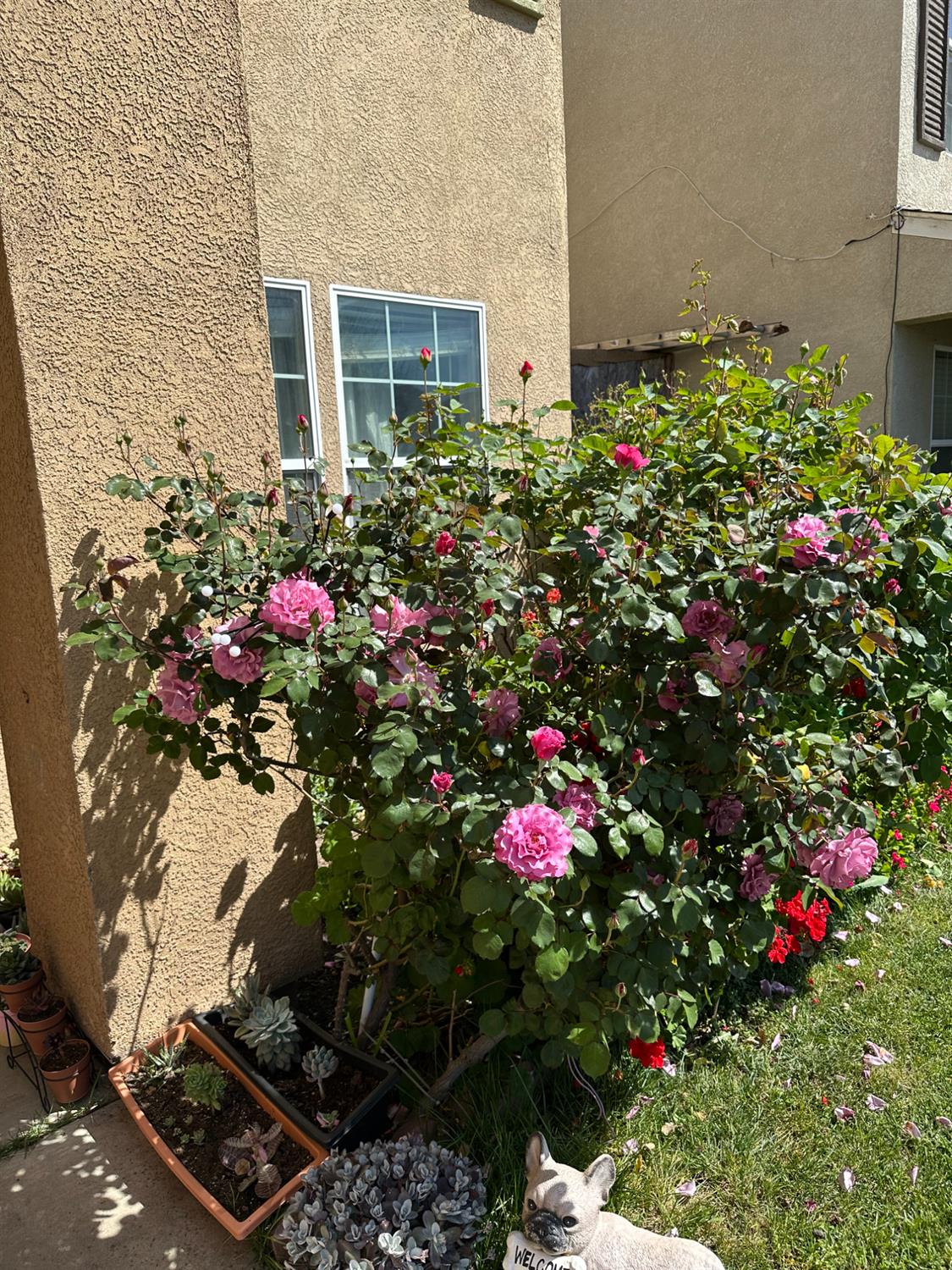 Detail Gallery Image 6 of 45 For 336 Pyramid Ave, Merced,  CA 95341 - 4 Beds | 2/1 Baths