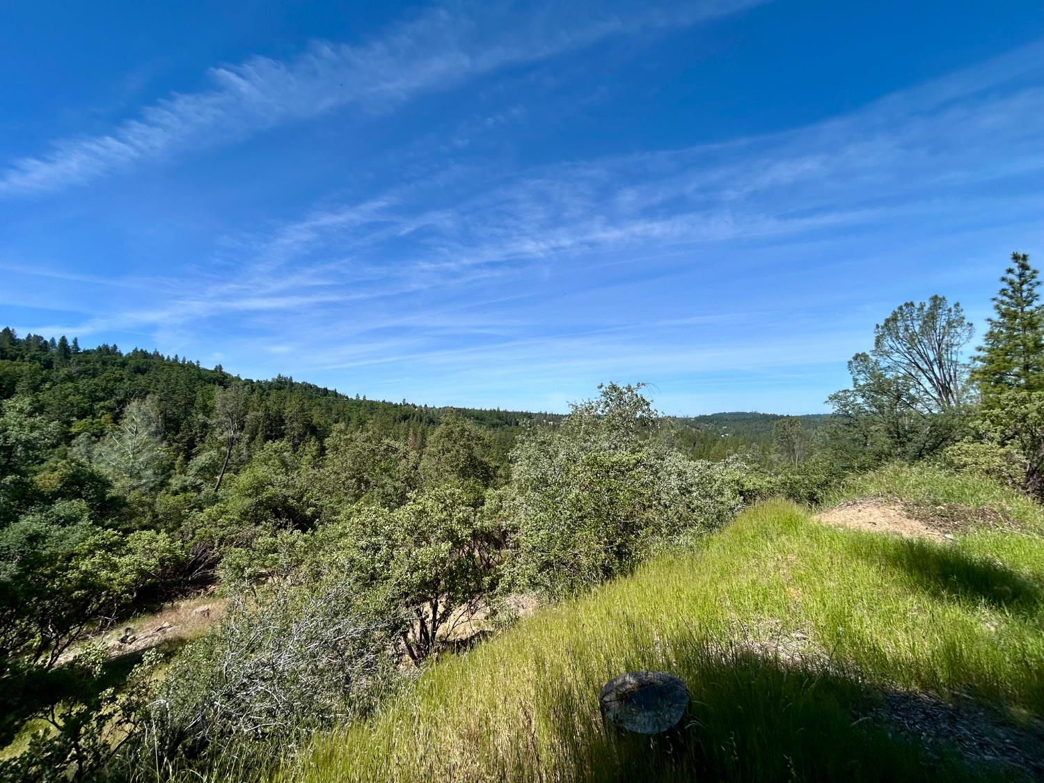 Detail Gallery Image 10 of 25 For 15805 Shannon Way, Nevada City,  CA 95959 - – Beds | – Baths