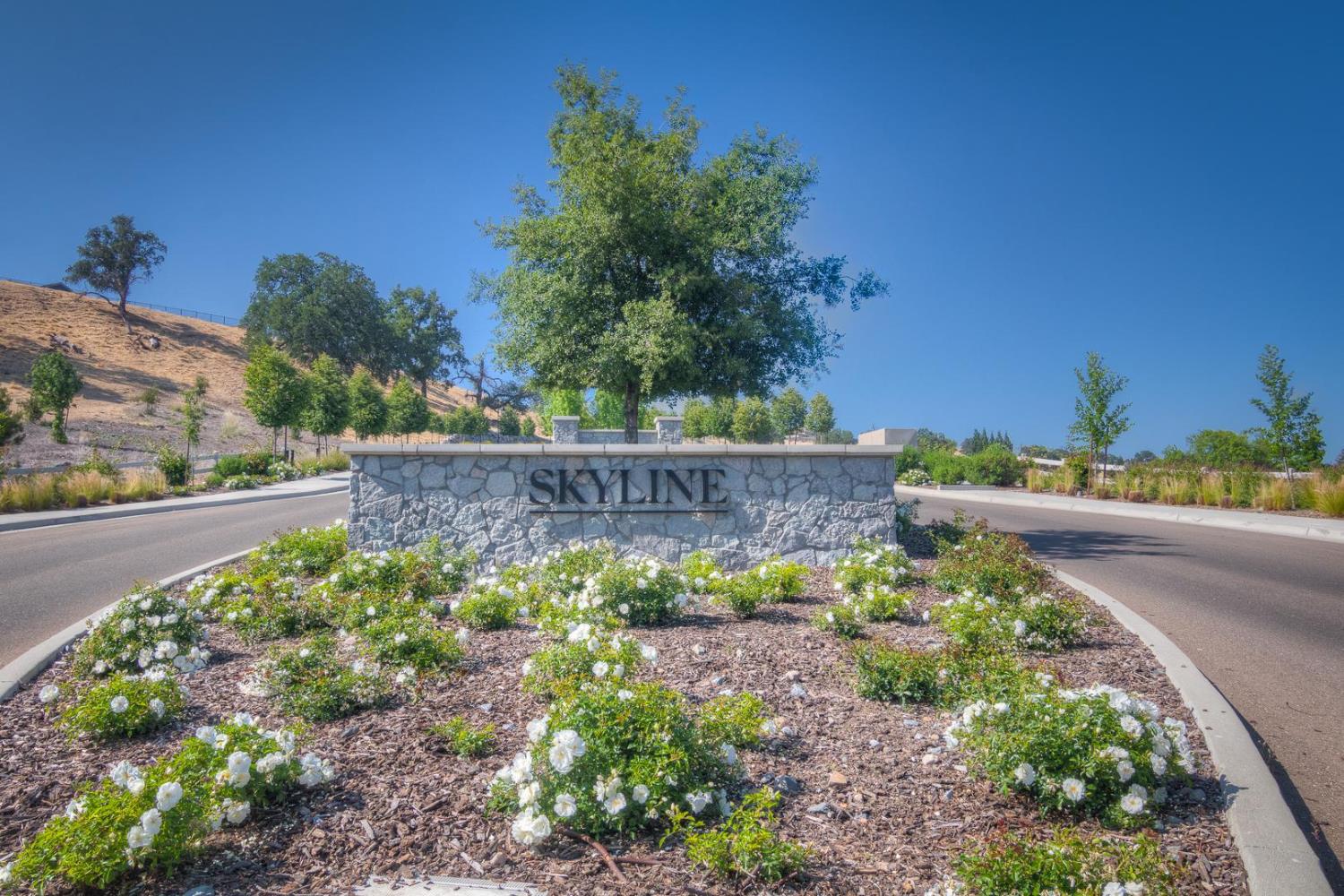 Detail Gallery Image 65 of 81 For 4009 Whitney Vista Ln, Rocklin,  CA 95677 - 4 Beds | 4/1 Baths