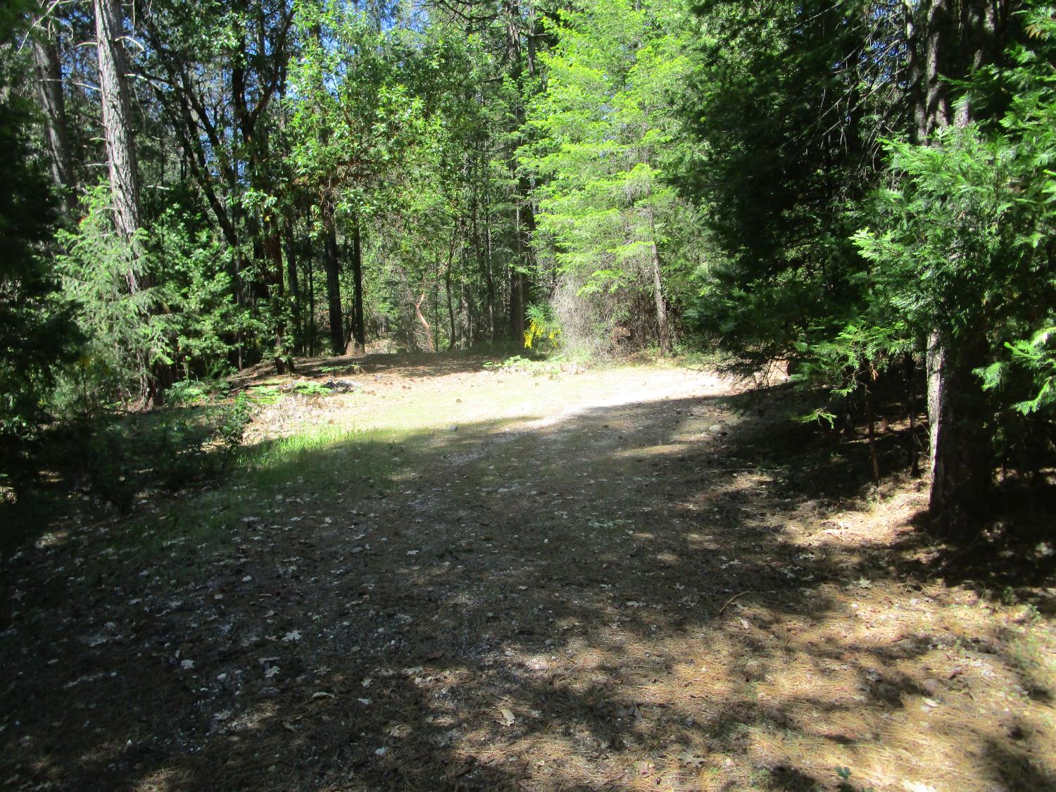 Detail Gallery Image 21 of 24 For 15699 Tyler Foote Rd, Nevada City,  CA 95959 - – Beds | – Baths