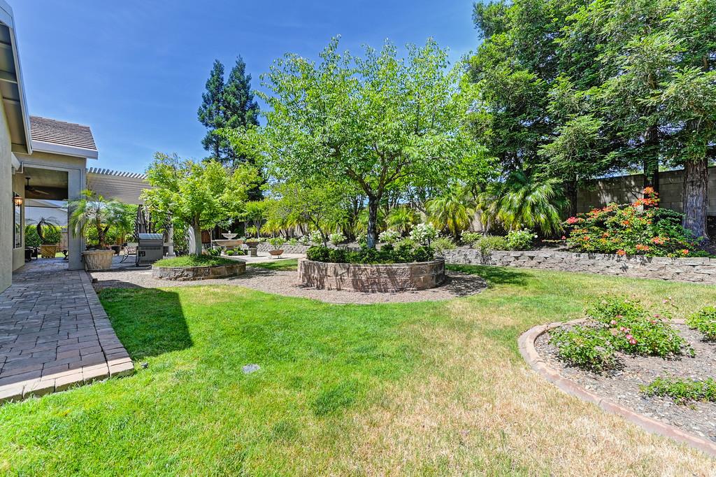 Tahoe Vista Drive, Rocklin, California image 17