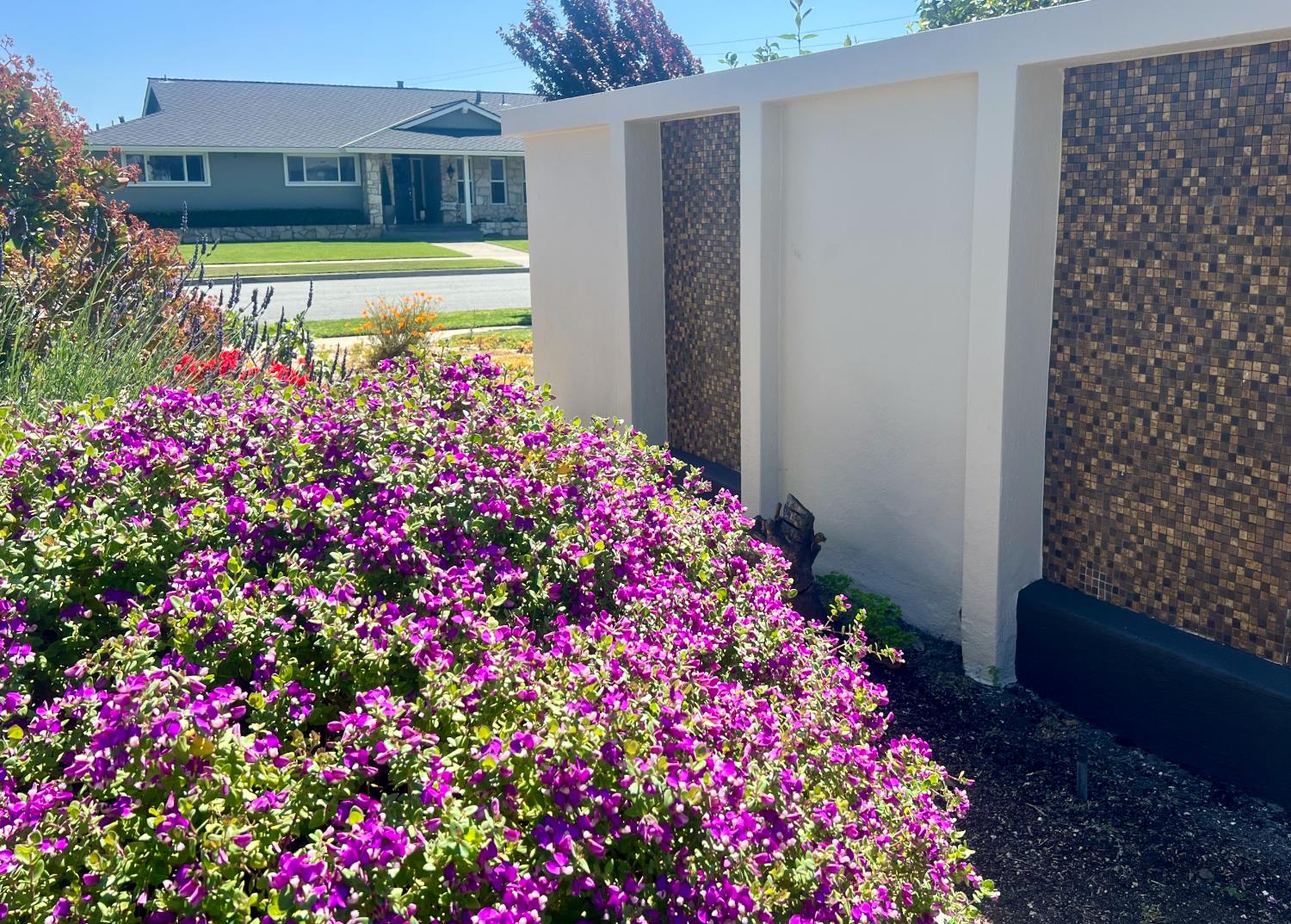 Detail Gallery Image 34 of 41 For 659 San Tomas Way, South Salinas,  CA 93901 - 3 Beds | 2 Baths
