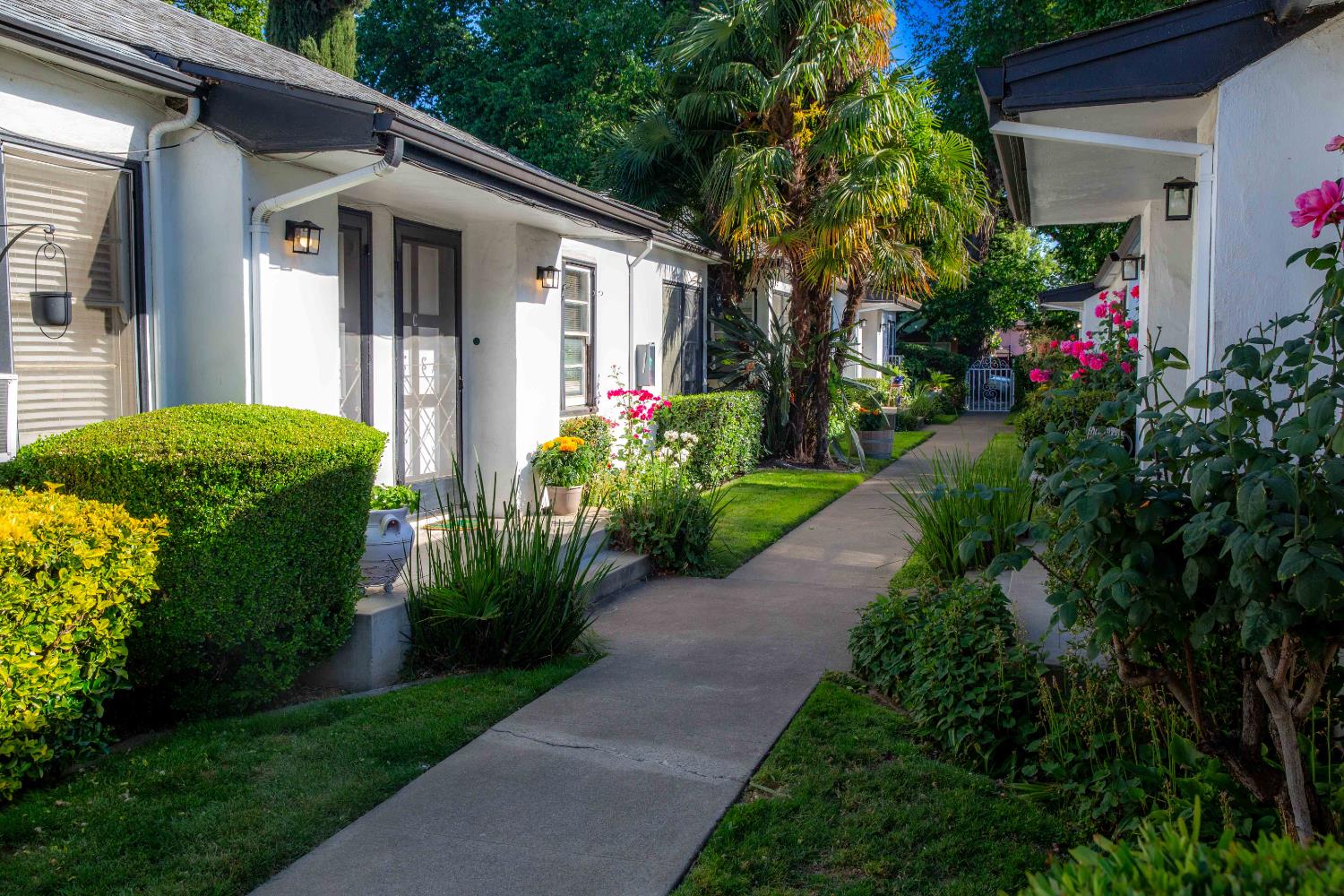 Detail Gallery Image 3 of 6 For 1209 U St, Sacramento,  CA 95818 - – Beds | – Baths