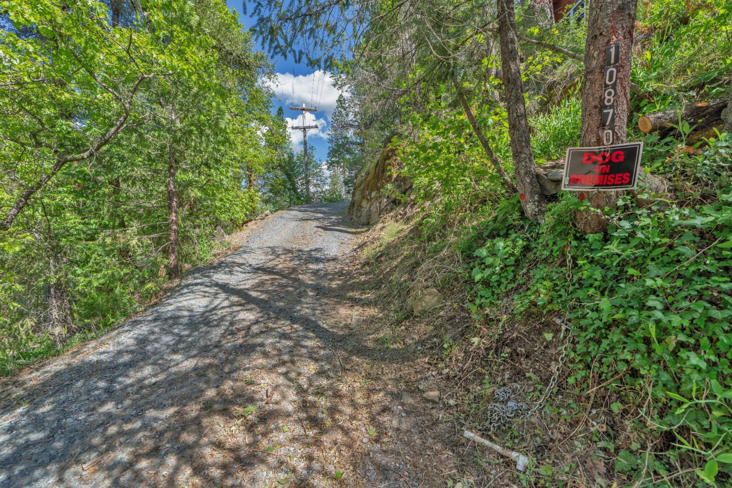 Detail Gallery Image 53 of 67 For 10870 Riverton Ln, Pollock Pines,  CA 95726 - 4 Beds | 2 Baths