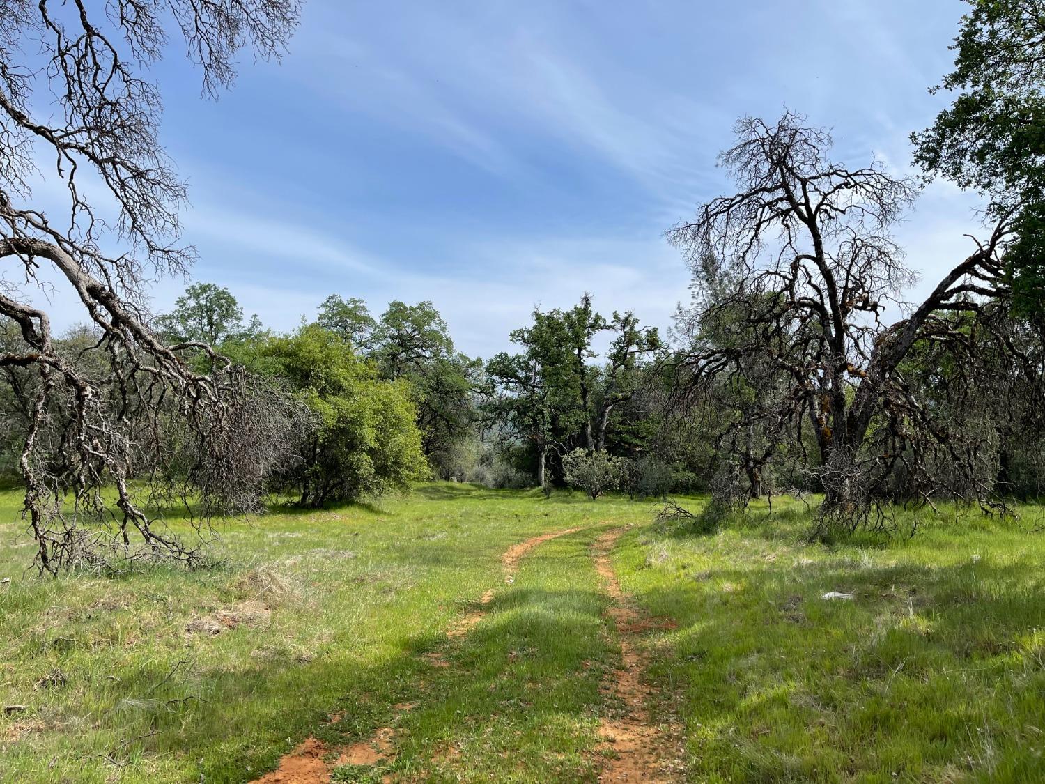 Troost Trail, North San Juan, California image 1