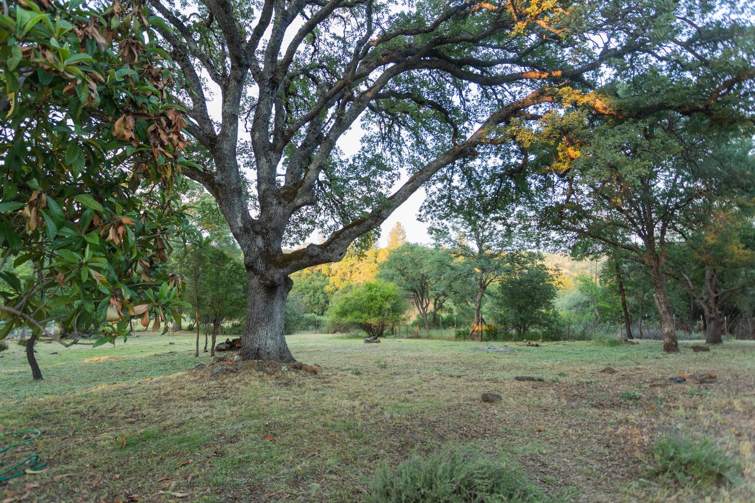 Detail Gallery Image 9 of 49 For 2691 Family Hill Dr, Placerville,  CA 95667 - 3 Beds | 2 Baths