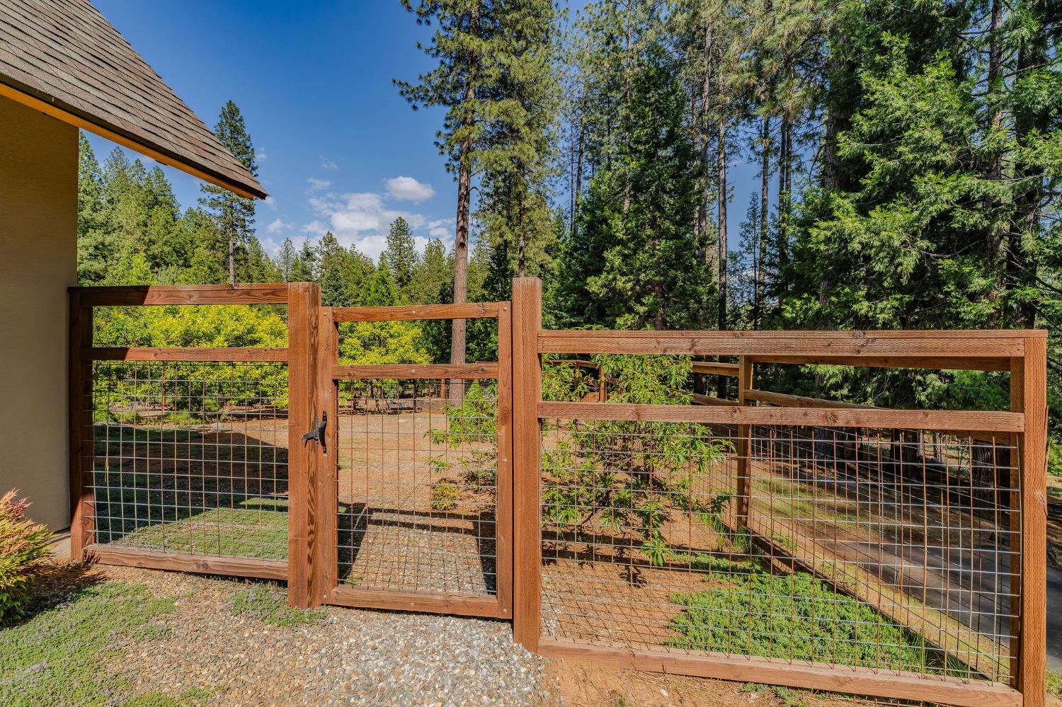 Detail Gallery Image 82 of 92 For 25521 Wildflower Dr, Volcano,  CA 95689 - 2 Beds | 2/1 Baths