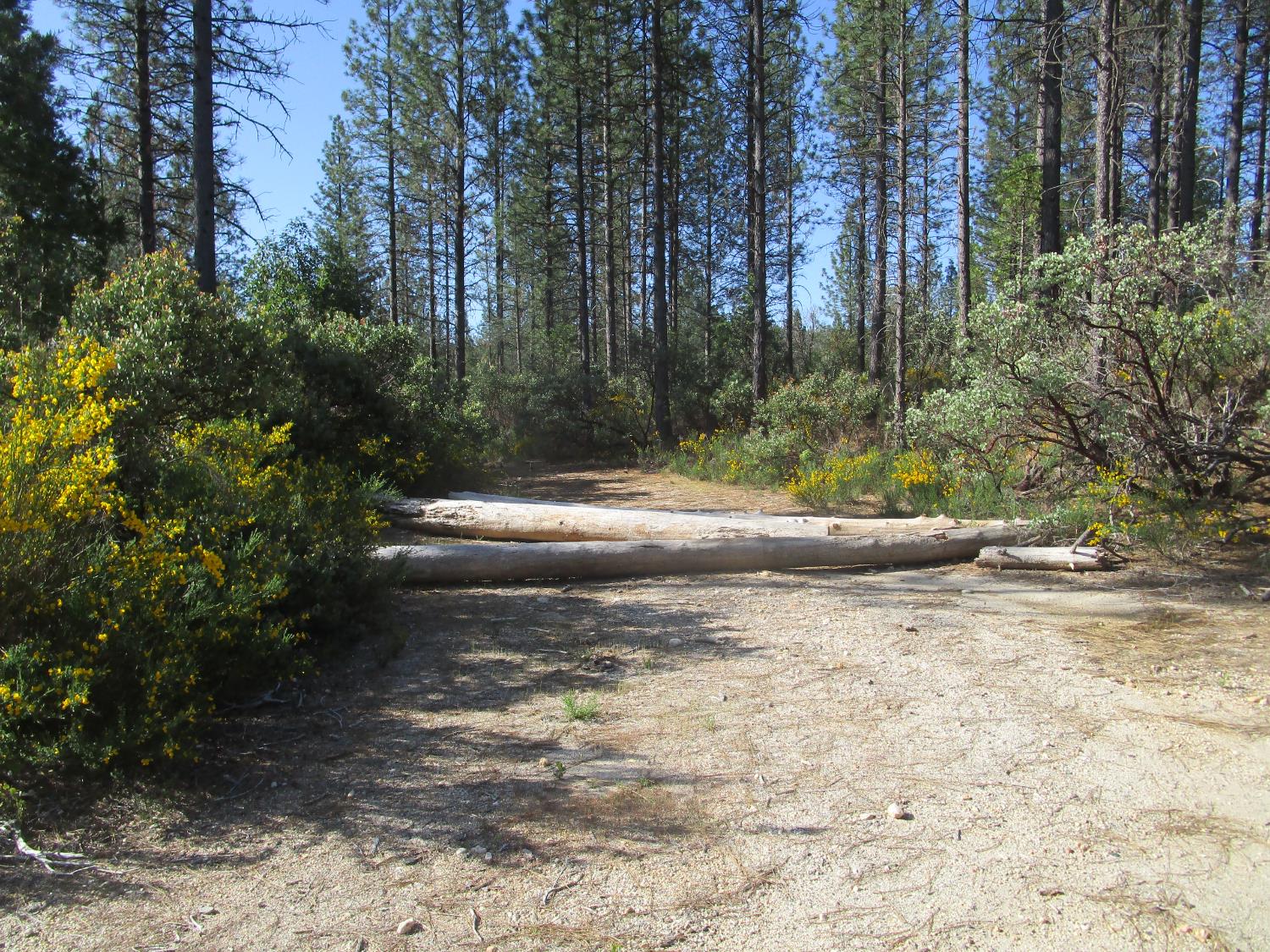 Detail Gallery Image 8 of 23 For 15699 Tyler Foote Rd, Nevada City,  CA 95959 - – Beds | – Baths