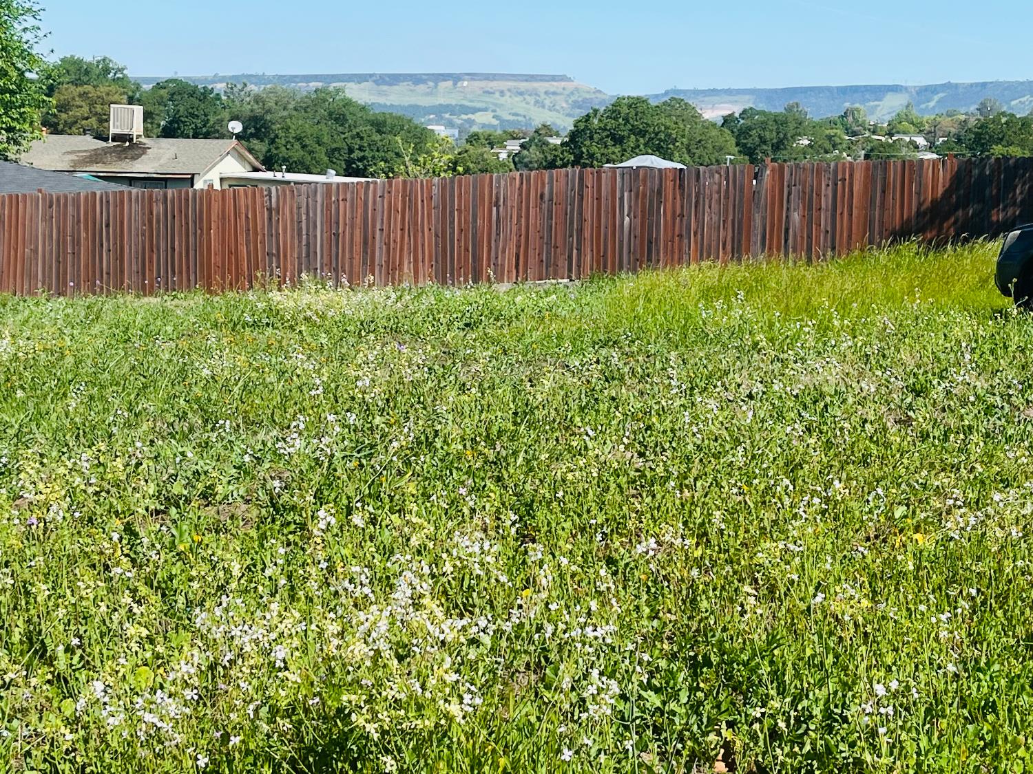Detail Gallery Image 10 of 15 For 2965 Oro Bangor, Oroville,  CA 95966 - – Beds | – Baths