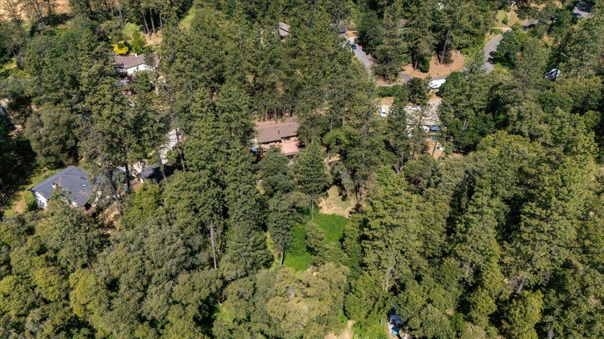 Detail Gallery Image 46 of 50 For 16559 Joey Ct, Grass Valley,  CA 95949 - 3 Beds | 2 Baths