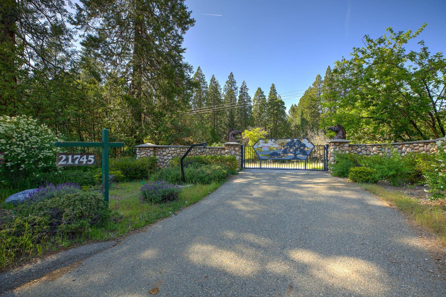 Detail Gallery Image 1 of 57 For Address Is Not Disclosed, Foresthill,  CA 95631 - 2 Beds | 3 Baths