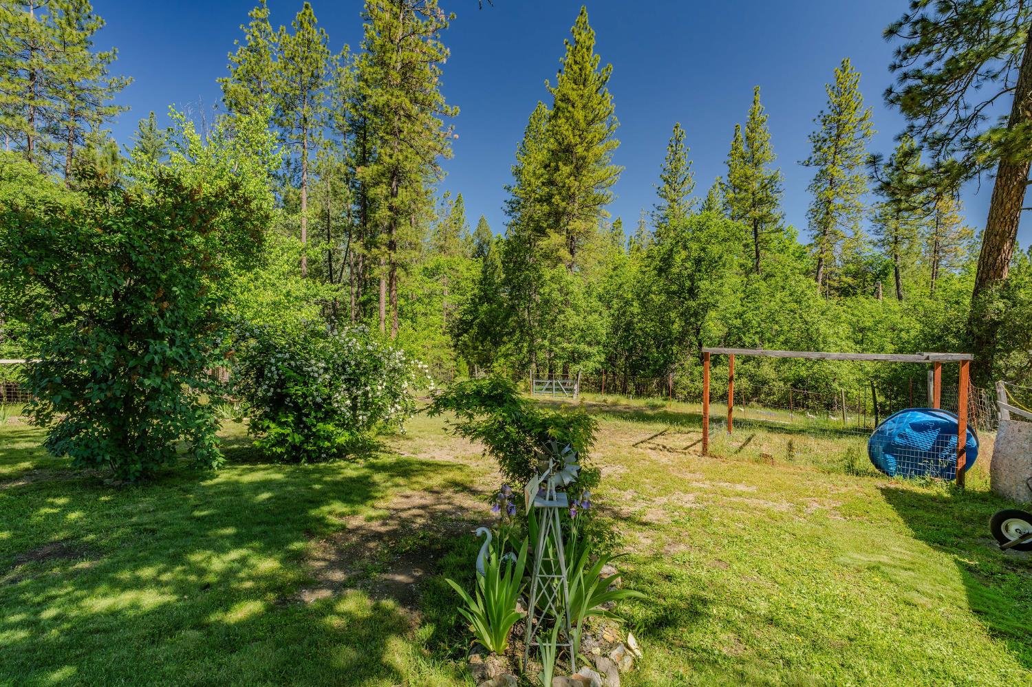 Detail Gallery Image 9 of 40 For 1470 Meredith Lane, Rail Road Flat,  CA 95248 - 2 Beds | 2 Baths