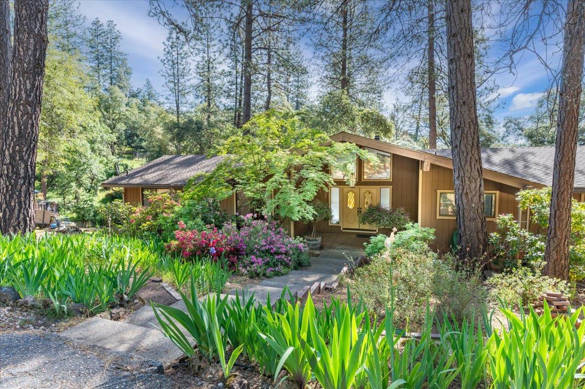Detail Gallery Image 1 of 50 For 16559 Joey Ct, Grass Valley,  CA 95949 - 3 Beds | 2 Baths