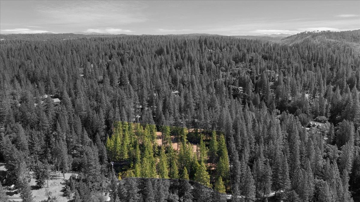 Acres Homestead Drive, Pollock Pines, California image 7