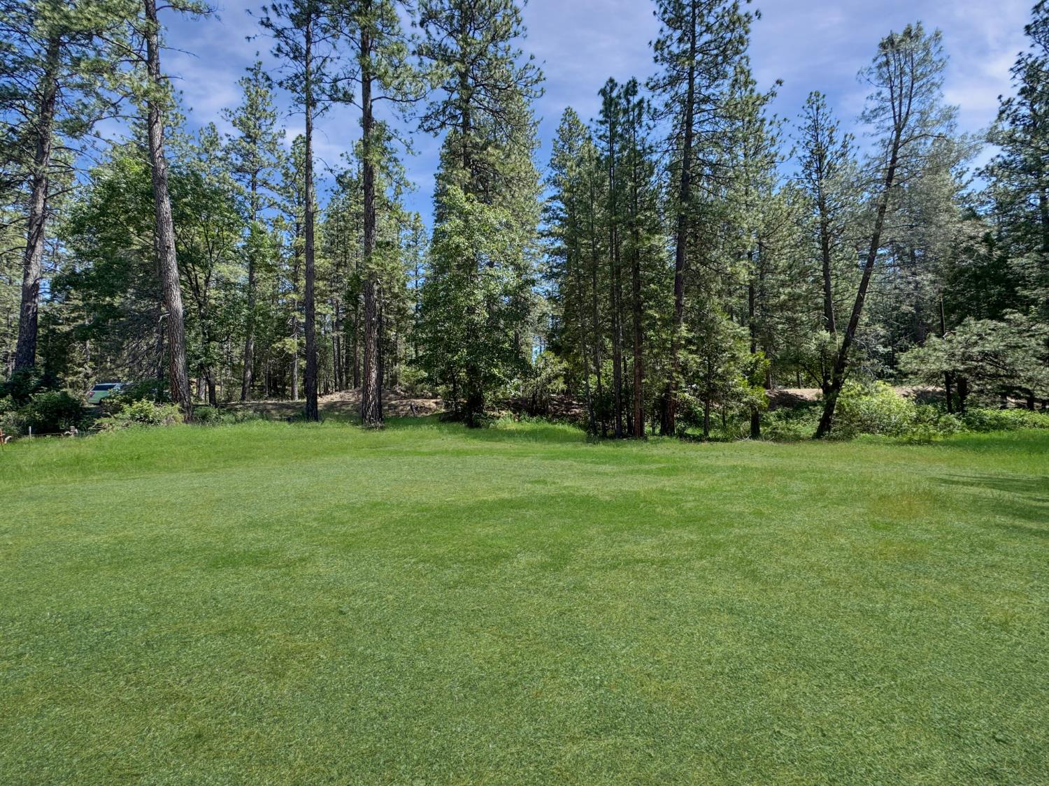 Detail Gallery Image 1 of 8 For 16988 Old Downieville Hwy, Nevada City,  CA 95959 - – Beds | – Baths