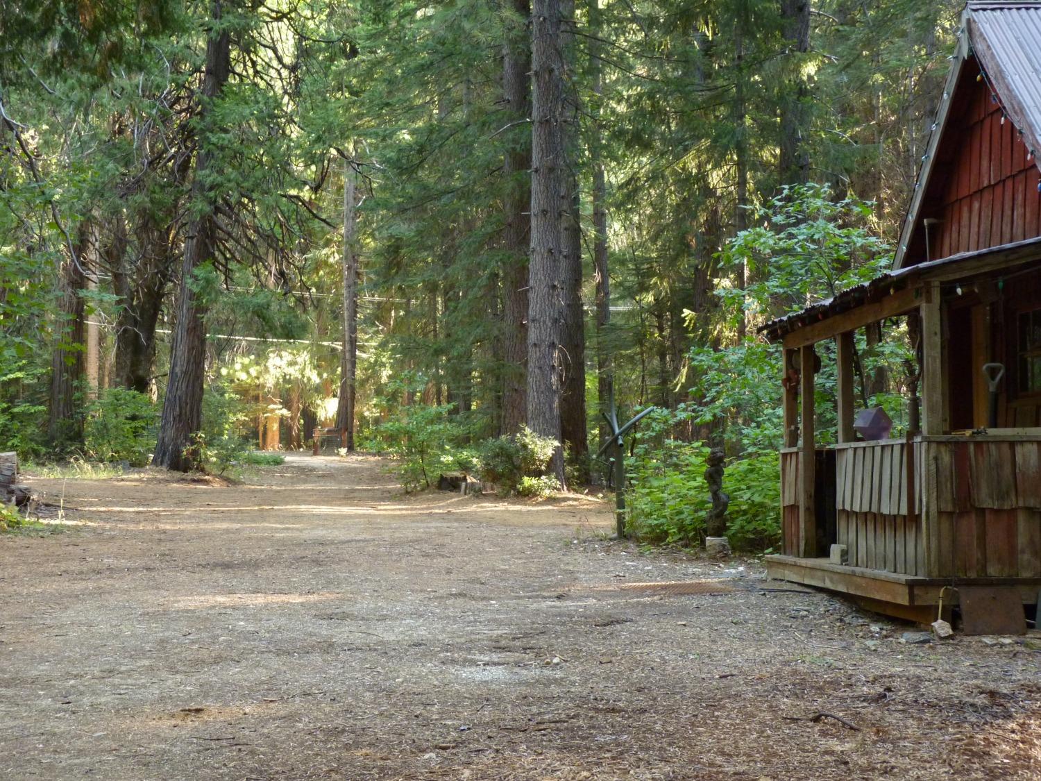 Detail Gallery Image 53 of 58 For 14138 La Porte Rd, Strawberry Valley,  CA 95981 - 2 Beds | 2/1 Baths