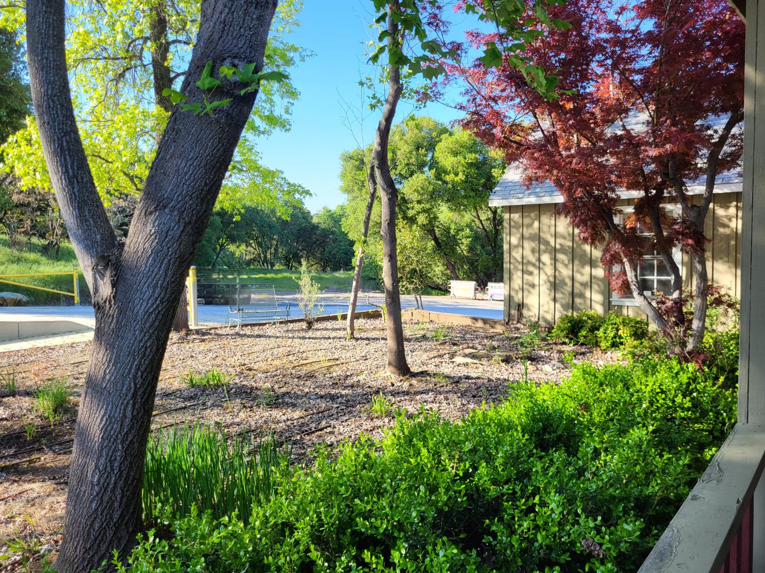 Detail Gallery Image 8 of 64 For 677 S Main Rd, Angels Camp,  CA 95222 - 3 Beds | 2/1 Baths