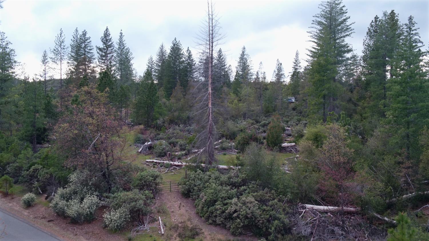 Detail Gallery Image 31 of 34 For 6363 Dogtown Rd, Coulterville,  CA 95311 - – Beds | – Baths