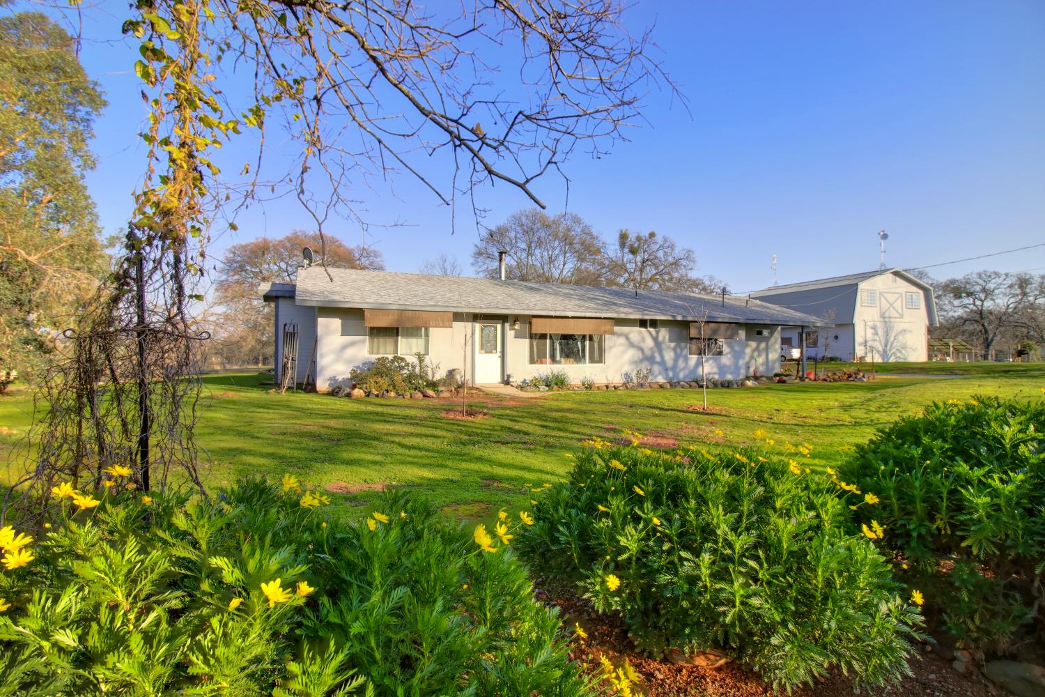 Detail Gallery Image 2 of 65 For 15828 Barney Rd, Plymouth,  CA 95669 - 3 Beds | 3 Baths