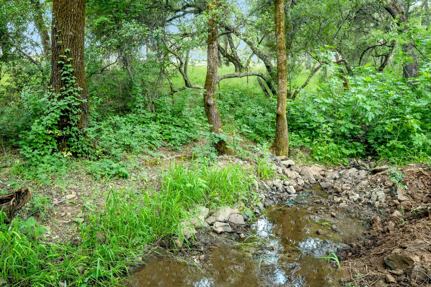 Edgehill Way, Marysville, California image 11