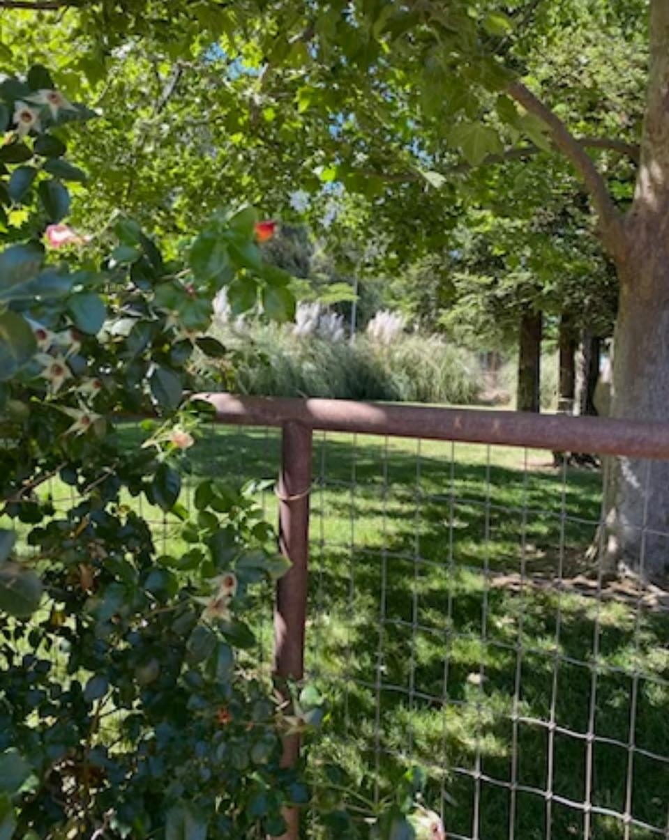 Detail Gallery Image 14 of 15 For 12092 Clay Station Rd, Herald,  CA 95638 - 3 Beds | 2 Baths