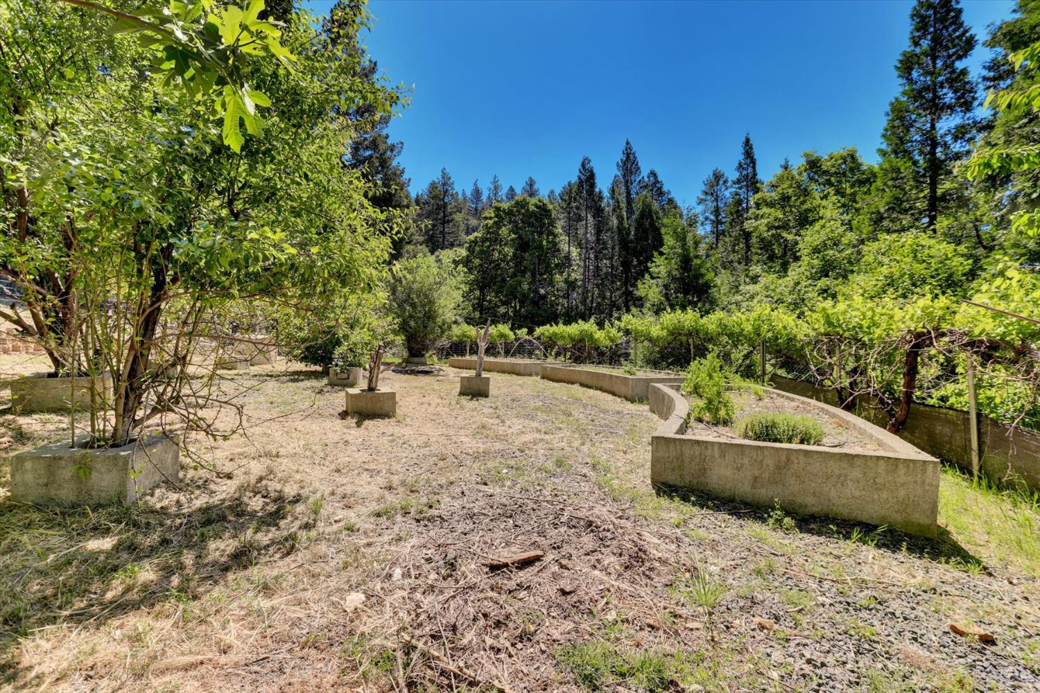 Kensington Kourt, Grass Valley, California image 49