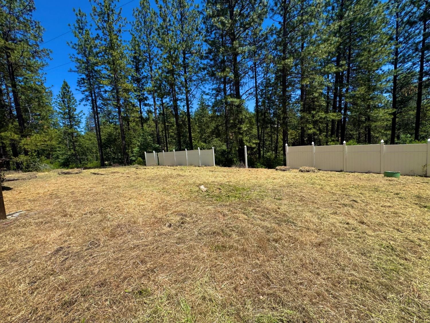 Detail Gallery Image 18 of 35 For 355 Retherford Rd, Colfax,  CA 95713 - 3 Beds | 2 Baths