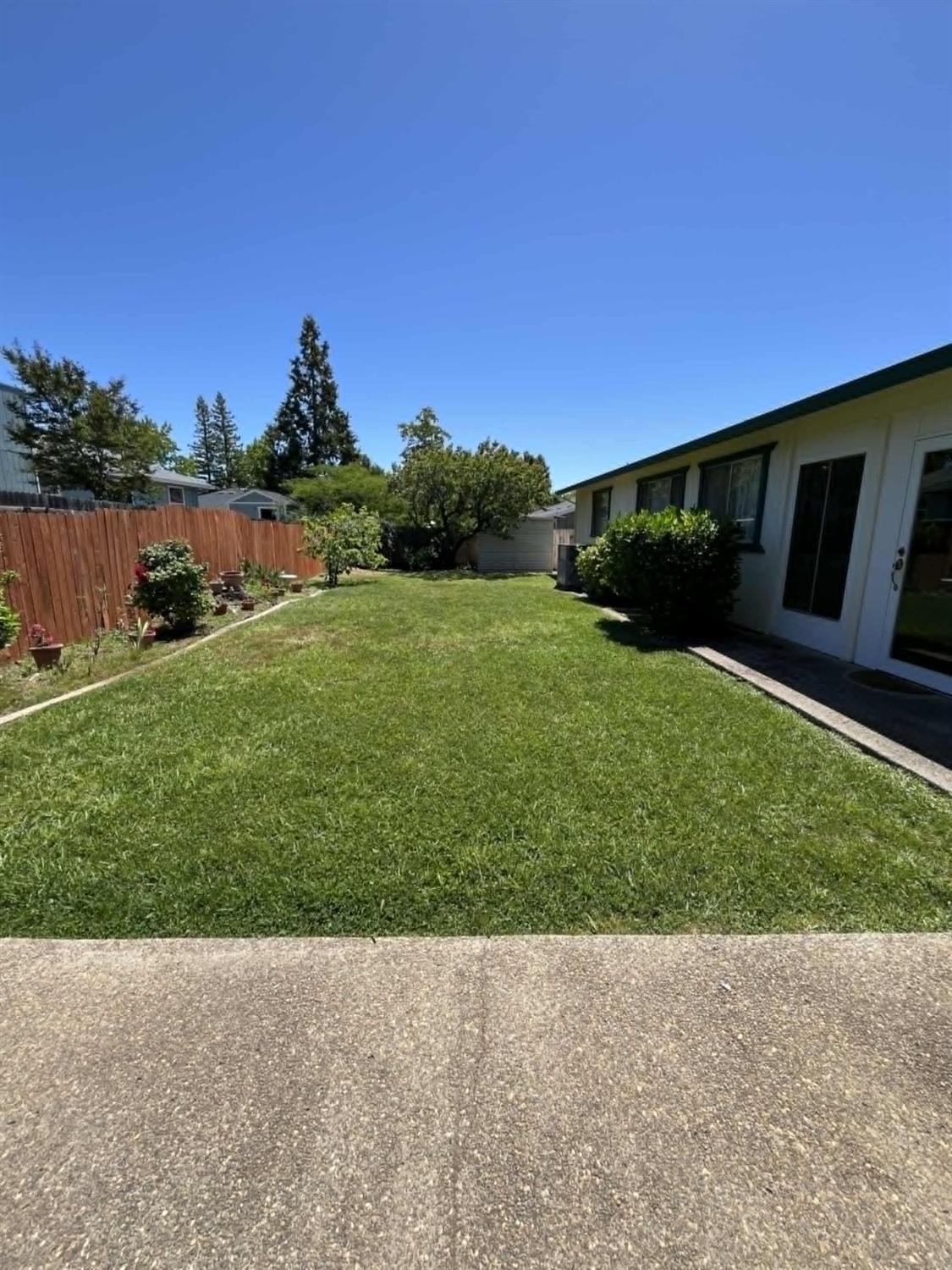 Tracy Lane, Auburn, California image 8