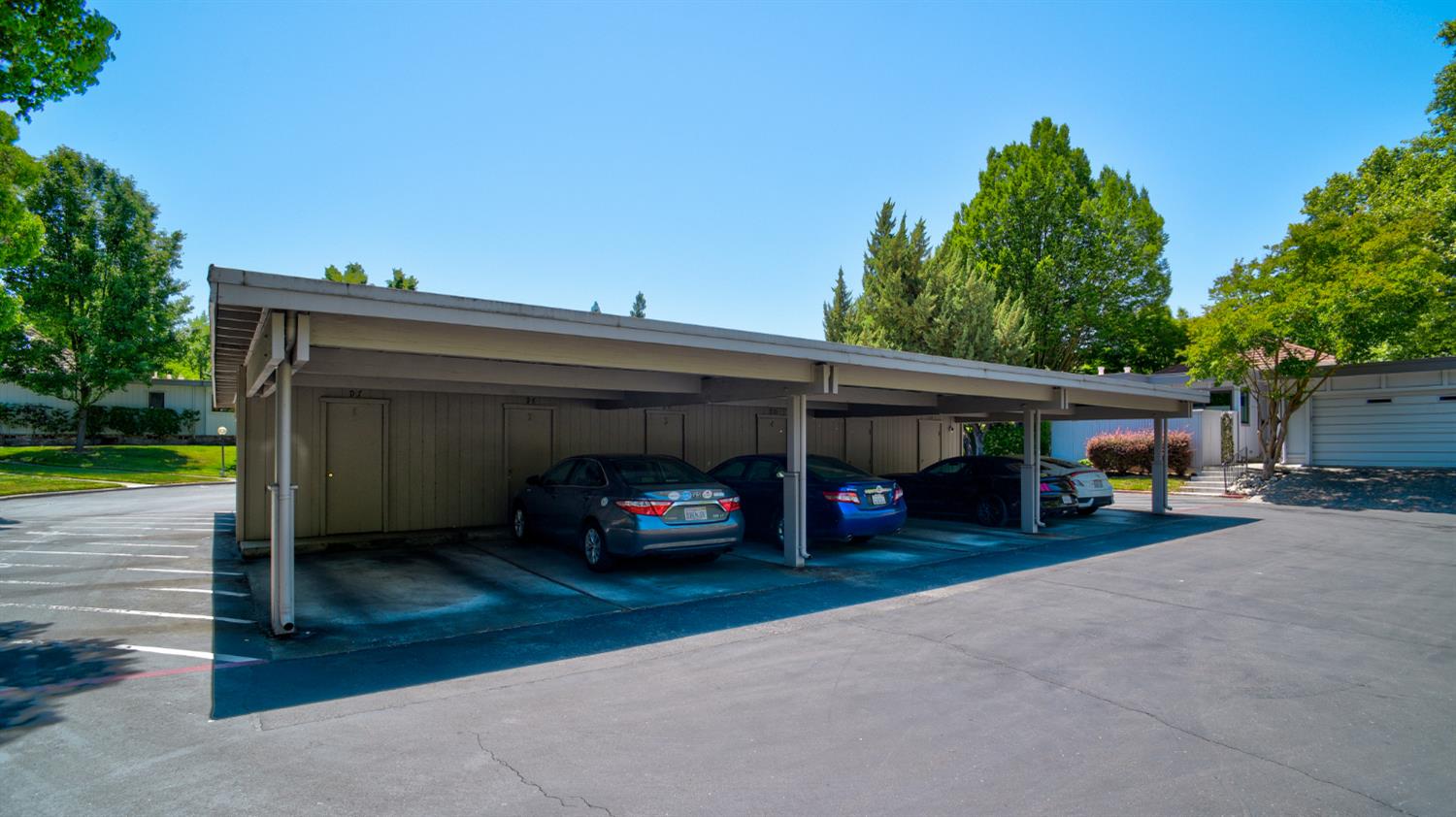 Photo #35: 225053246 Listing: Photo #35