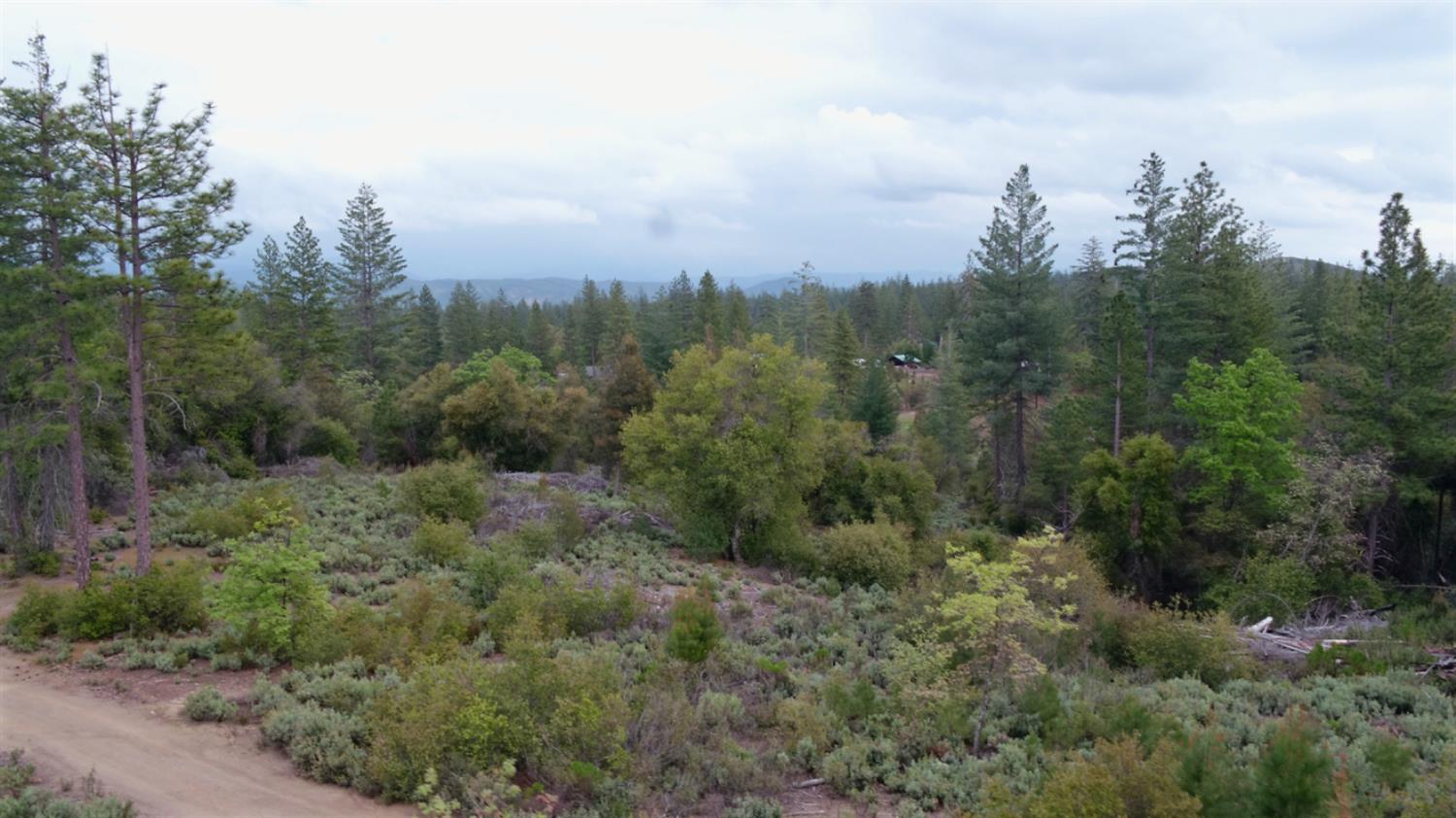 Detail Gallery Image 14 of 34 For 6363 Dogtown Rd, Coulterville,  CA 95311 - – Beds | – Baths