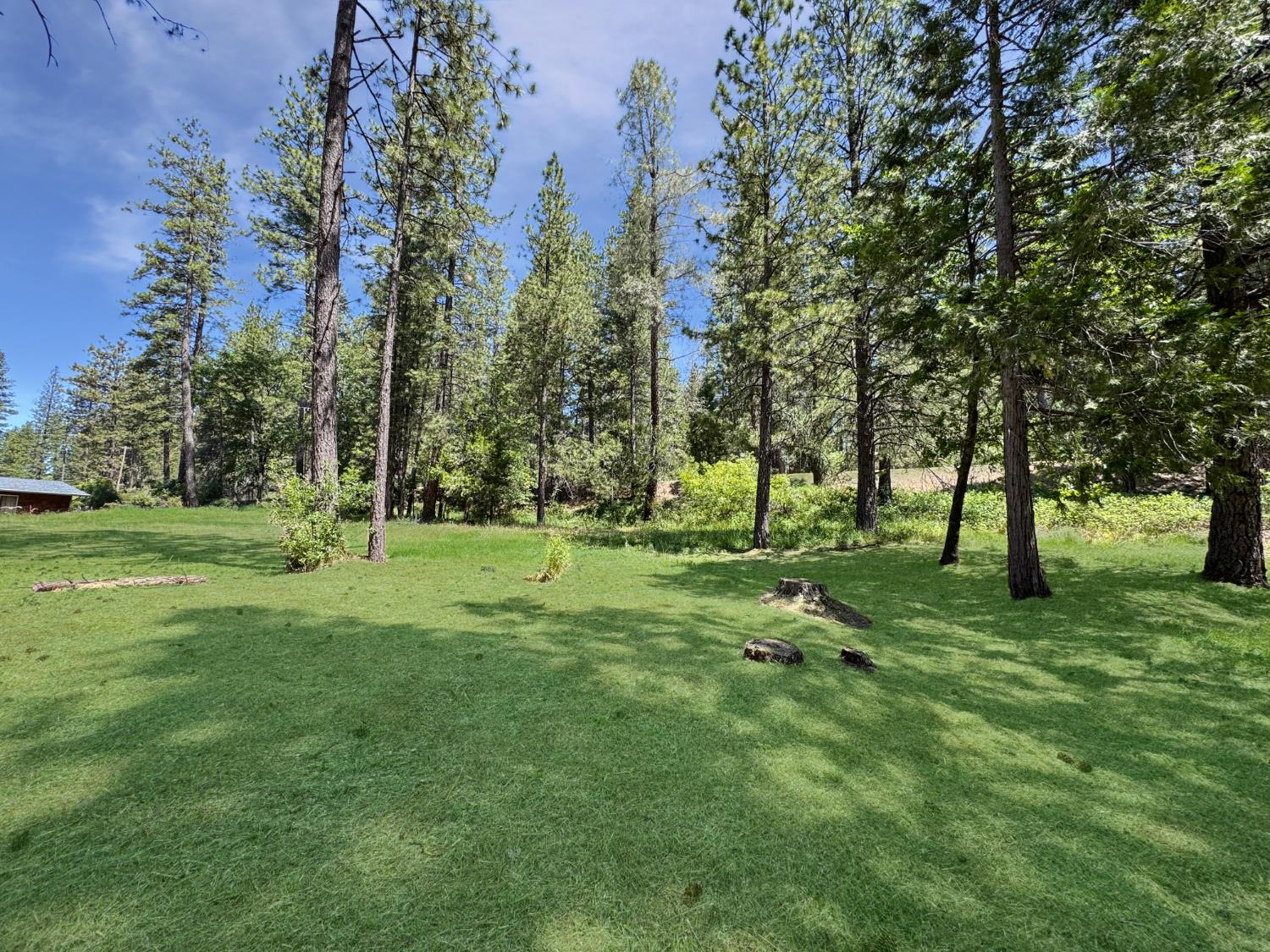 Detail Gallery Image 4 of 8 For 16996 Old Downieville Hwy, Nevada City,  CA 95959 - – Beds | – Baths