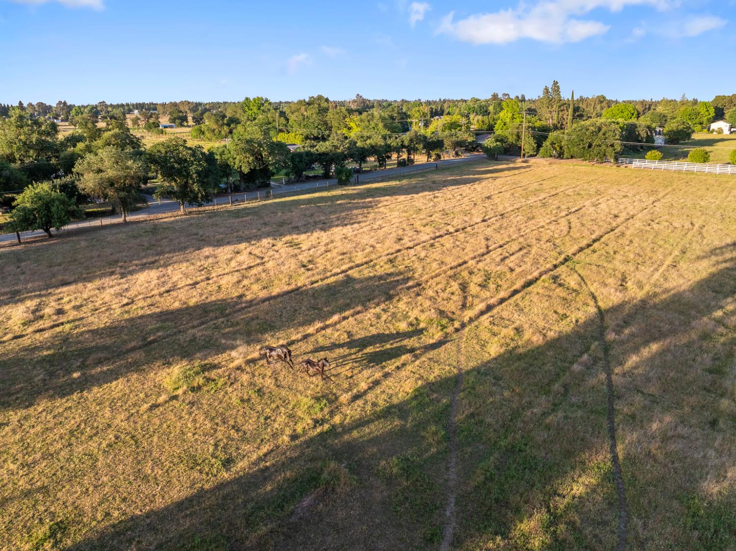 Detail Gallery Image 56 of 62 For 8651 Bader Rd, Elk Grove,  CA 95624 - 3 Beds | 2 Baths