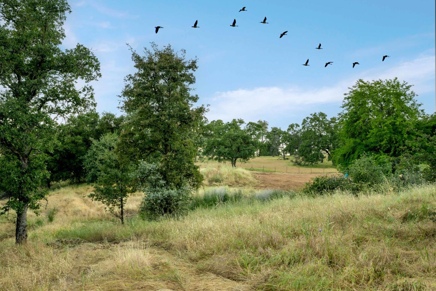 Edgehill Way, Marysville, California image 2