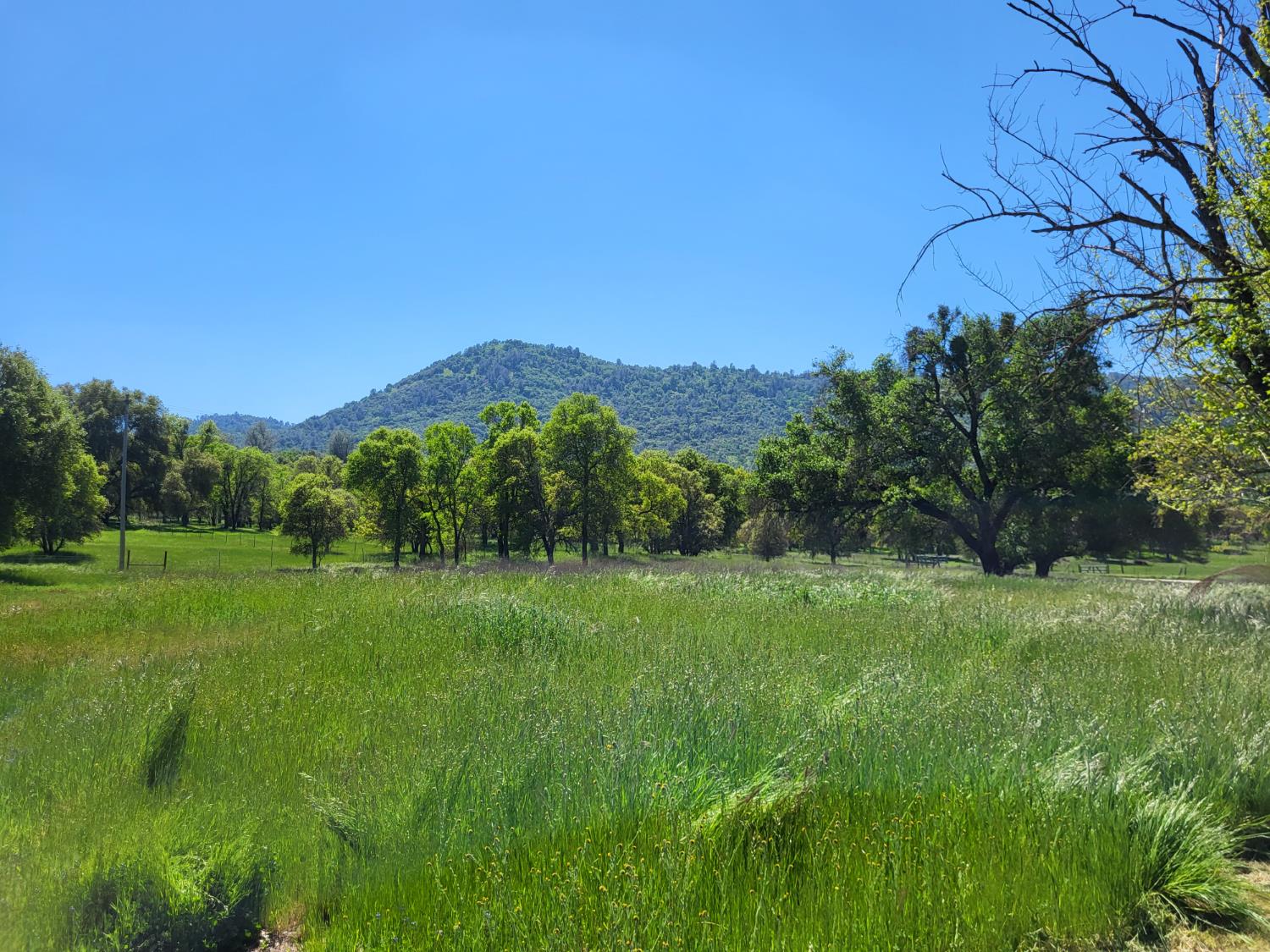 Detail Gallery Image 55 of 56 For 10093 Bailinquick Rd, Angels Camp,  CA 95222 - 3 Beds | 2/1 Baths