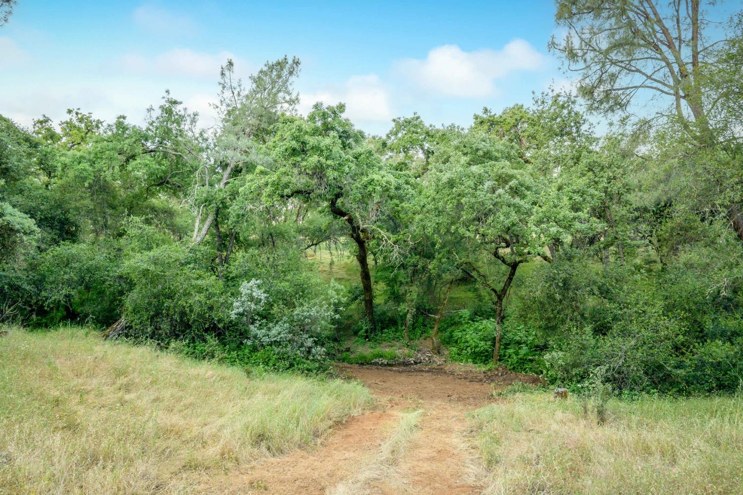 Edgehill Way, Marysville, California image 10