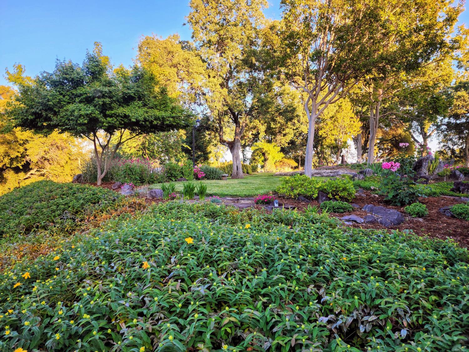 Detail Gallery Image 19 of 83 For 5001 Mourning Dove Ln, Shingle Springs,  CA 95682 - 4 Beds | 3/1 Baths